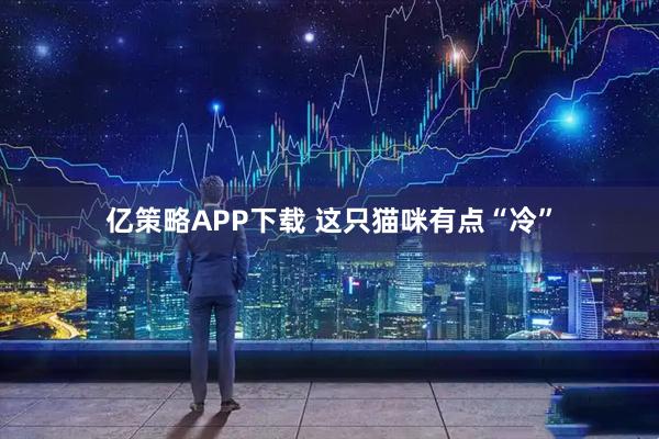 亿策略APP下载 这只猫咪有点“冷”