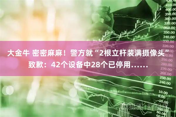 大金牛 密密麻麻！警方就“2根立杆装满摄像头”致歉：42个设备中28个已停用……